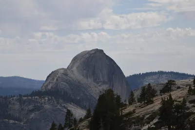 DSC_4413 (Large).JPG